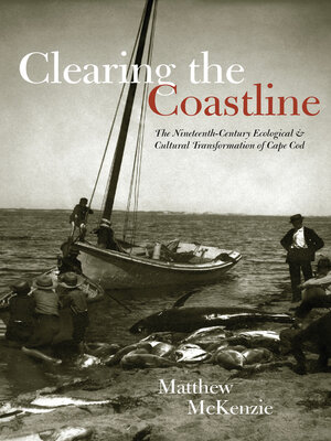 cover image of Clearing the Coastline